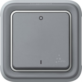 Двухполюсный выключатель LEGRAND Plexo 10 AX серый