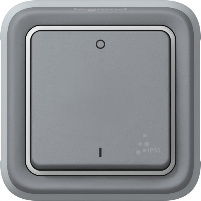 Двухполюсный выключатель LEGRAND Plexo 10 AX серый 069530
